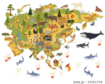 Flat Asian flora and fauna map constructor element Flat Asian flora and fauna map constructor element 34561749