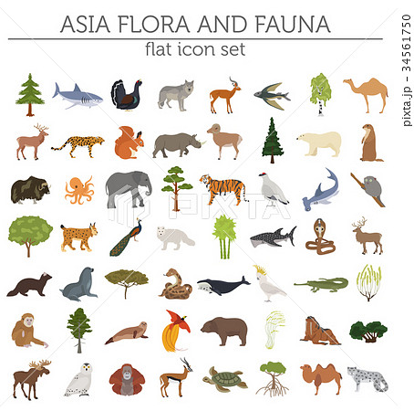 Flat Asian flora and fauna map constructor element Flat Asian flora and fauna map constructor element 34561750