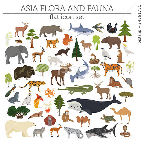 Flat Asian flora and fauna map constructor element Flat Asian flora and fauna map constructor element 34561751