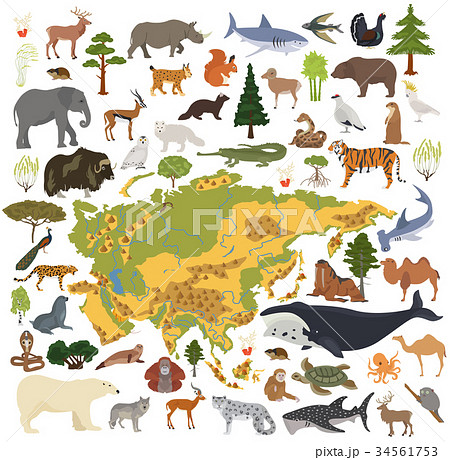 Flat Asian flora and fauna map constructor element Flat Asian flora and fauna map constructor element 34561753