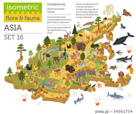 Isometric 3d Asian flora and fauna map constructor 34561754