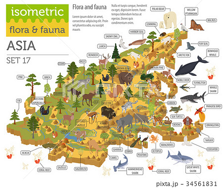 Isometric 3d Asian flora and fauna map constructor 34561831