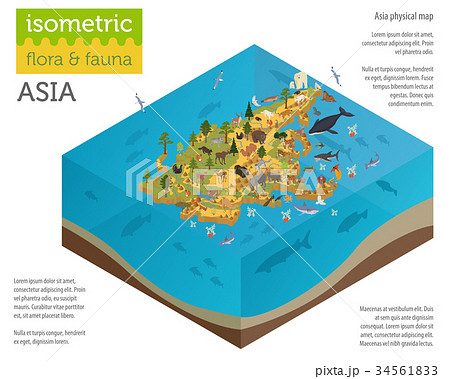 Isometric Asian flora and fauna map constructor Isometric Asian flora and fauna map constructor 34561833