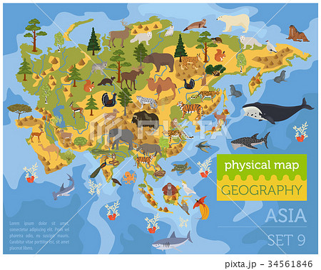 Flat Asian flora and fauna map constructor element Flat Asian flora and fauna map constructor element 34561846