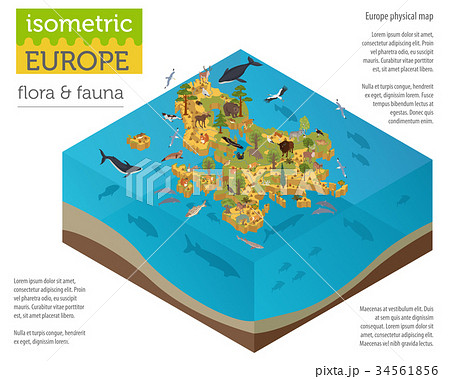Isometric 3d European flora and fauna map  34561856