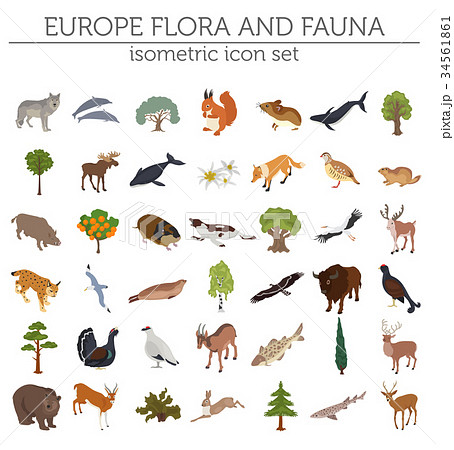 Isometric 3d European flora and fauna map  34561861