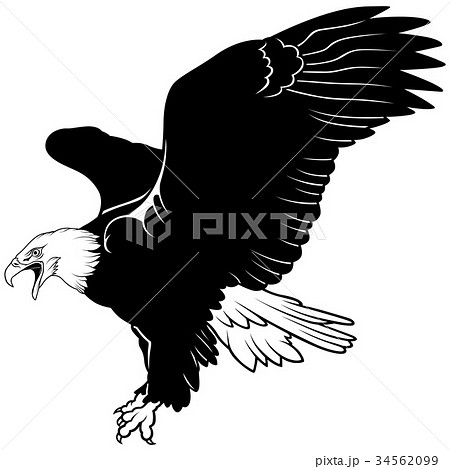 eagle carries away camera clipart