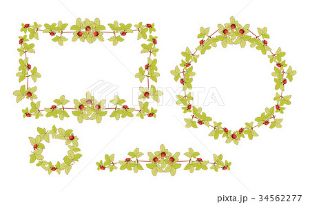 野イチゴ　フレーム 34562277