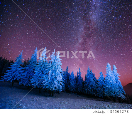 magic tree in starry winter night magic tree in starry winter night 34562278