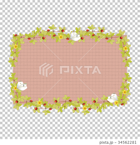 Wild strawberry frame 34562281