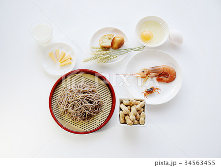 アレルギー食品　アレルギー　アレルゲン食品　特定原材料等　表示義務　表示義務アレルギー食品 34563455