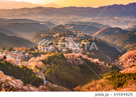 Yoshinoyama, Japan in Spring 34564929