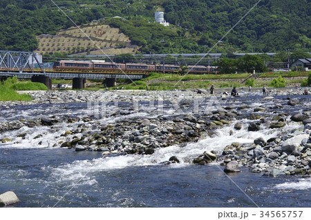 酒匂川の鮎釣りの写真素材