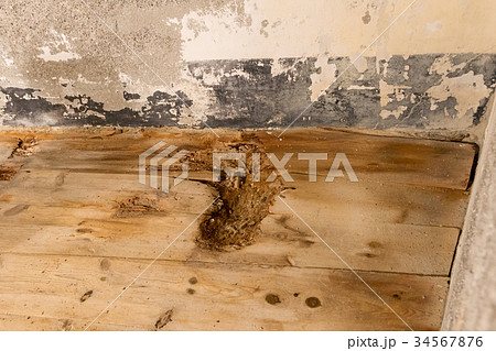 Water damaged floor and wall Water damaged floor and wall 34567876