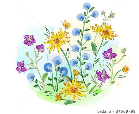 Watercolor flowers violets and pansy and leaves on Watercolor flowers violets and pansy and leaves on 34569799