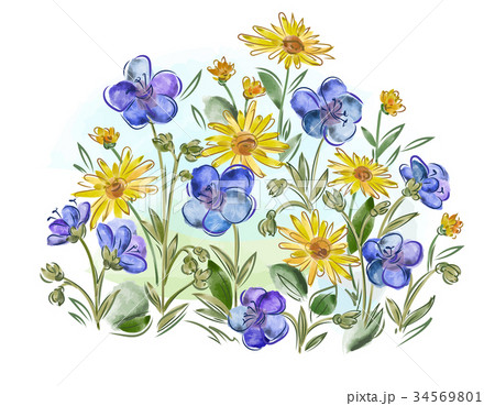 Watercolor flowers violets and pansy and leaves on Watercolor flowers violets and pansy and leaves on 34569801