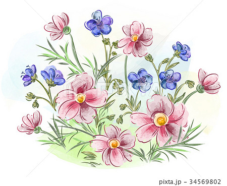Watercolor flowers violets and pansy and leaves on Watercolor flowers violets and pansy and leaves on 34569802