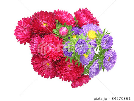アスターの花束 34570361