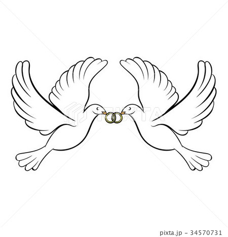 Wedding two doves icon cartoon 34570731