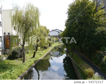 伏見　濠川 34572317