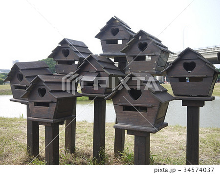 鳥の巣 小鳥の巣 クリエイティブ 34574037