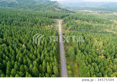 aerial shot of trail in forest landscape 34575504