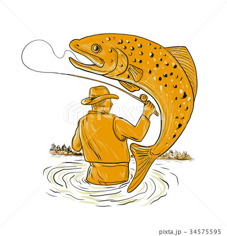 Fly Fisherman Reeling Trout Drawing 34575595