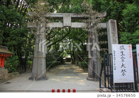 筥崎宮 筥崎宮 34576650