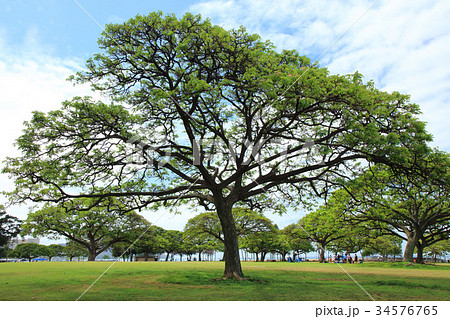 オアフ島ホノルル マジックアイランド 34576765