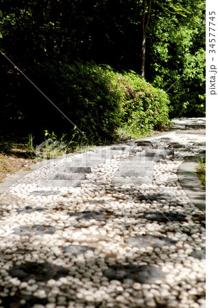 公園 自然 京畿道 34577745