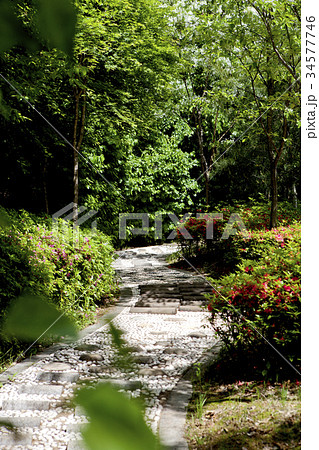 公園 自然 京畿道 34577746