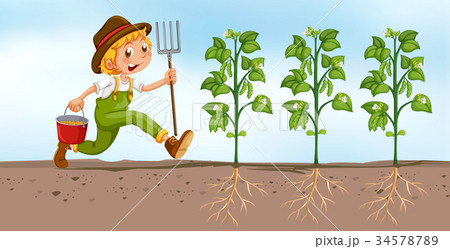 Farmer planting in the field 34578789