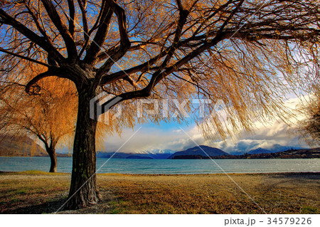 lake wanaka south land new zealand lake wanaka south land new zealand 34579226