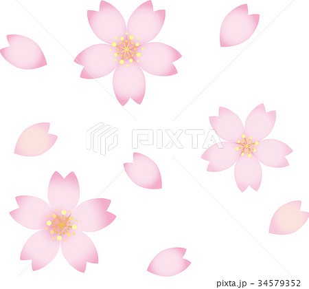 桜の花びらのイラスト素材
