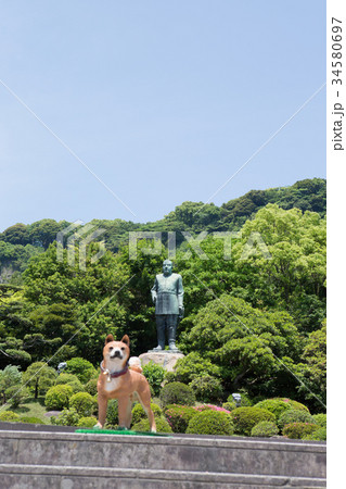 西郷隆盛銅像 -鹿児島市- 西郷隆盛銅像 -鹿児島市- 34580697