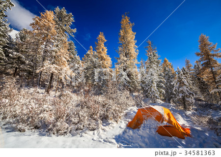 Orange tent in winter forest. Tourist camp in Orange tent in winter forest. Tourist camp in 34581363