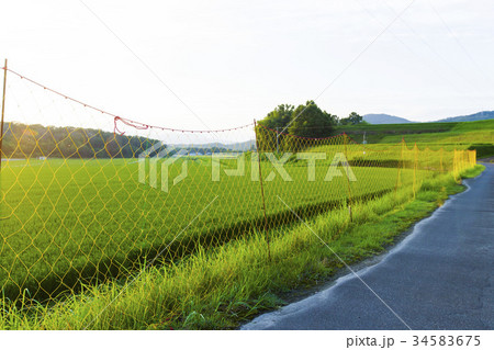 害獣除け 34583675