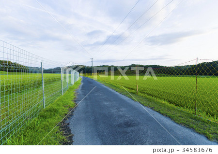 害獣除け 34583676