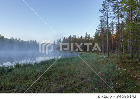 Foggy morning at forest pond Foggy morning at forest pond 34586142