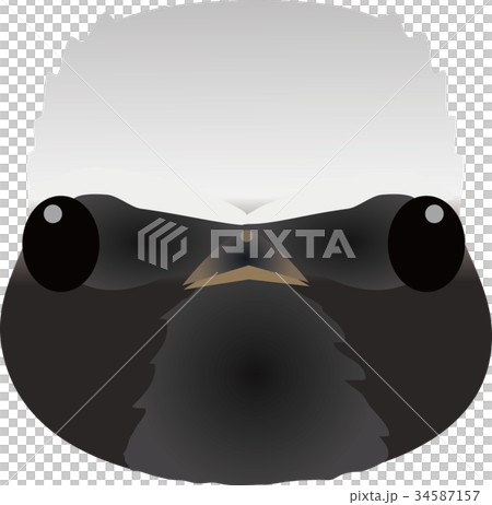 ジョウビタキ 34587157