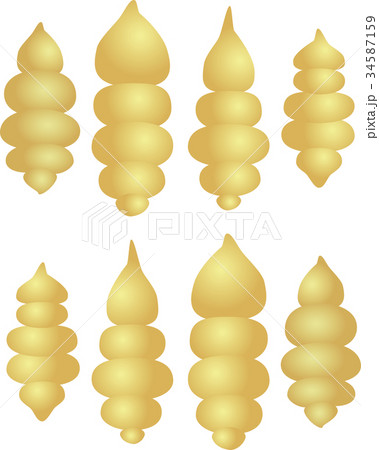 チョロギ 34587159