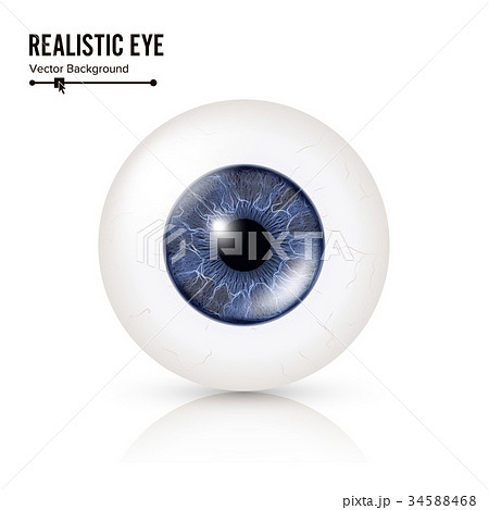 Realistic Human Eyeball. 3d Glossy Photorealistic 34588468