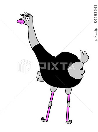 ダチョー 34593645