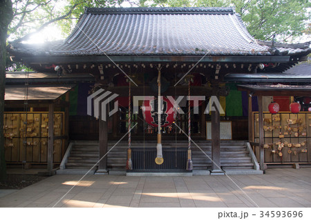 等々力不動尊 等々力不動尊 34593696