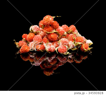 Pile flowers Gomphrena or Globe amaranths. Pile flowers Gomphrena or Globe amaranths. 34593928