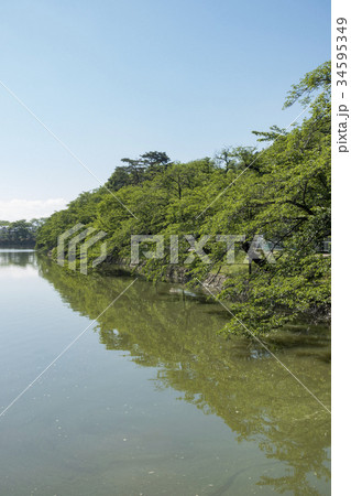 早朝ウォーキング人気スポット五百淵公園バードウォッチャーが活動する貴重な野鳥の生息地珍しい晴天無風 早朝ウォーキング人気スポット五百淵公園バードウォッチャーが活動する貴重な野鳥の生息地珍しい晴天無風 34595349