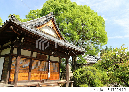 久米寺 34595446