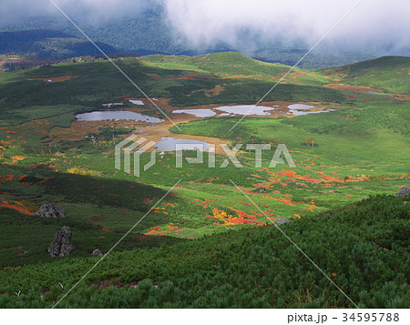 大雪山沼ノ平 34595788