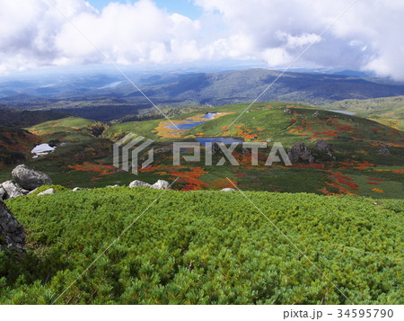 大雪山沼ノ平 大雪山沼ノ平 34595790