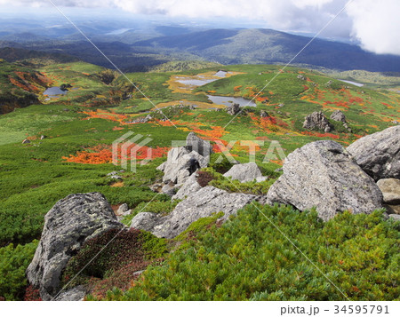 大雪山沼ノ平 大雪山沼ノ平 34595791